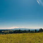 U Chlipaly ホームステイ Krośnica